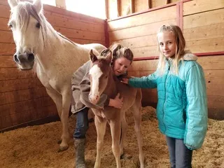 Two young girls meeting a newborn foal with the mare in a barn stall at Mountain View Ranch