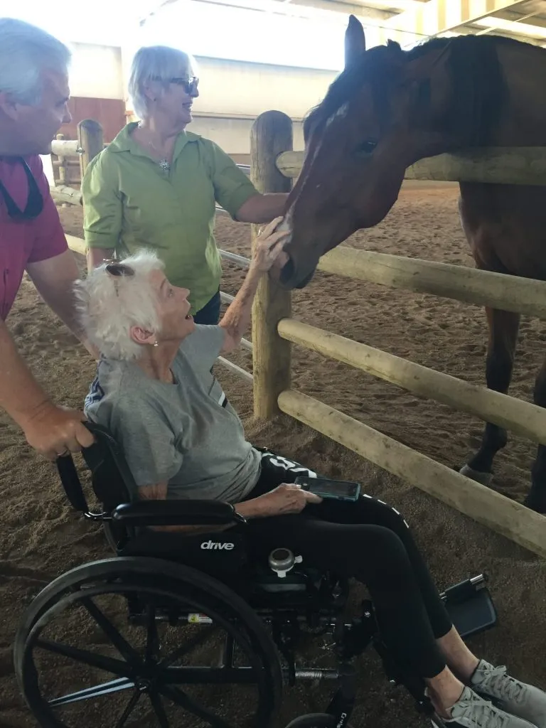 A family visiting the indoor arena, an elderly guest in a wheelchair reaching out to a bay horse through a log fence