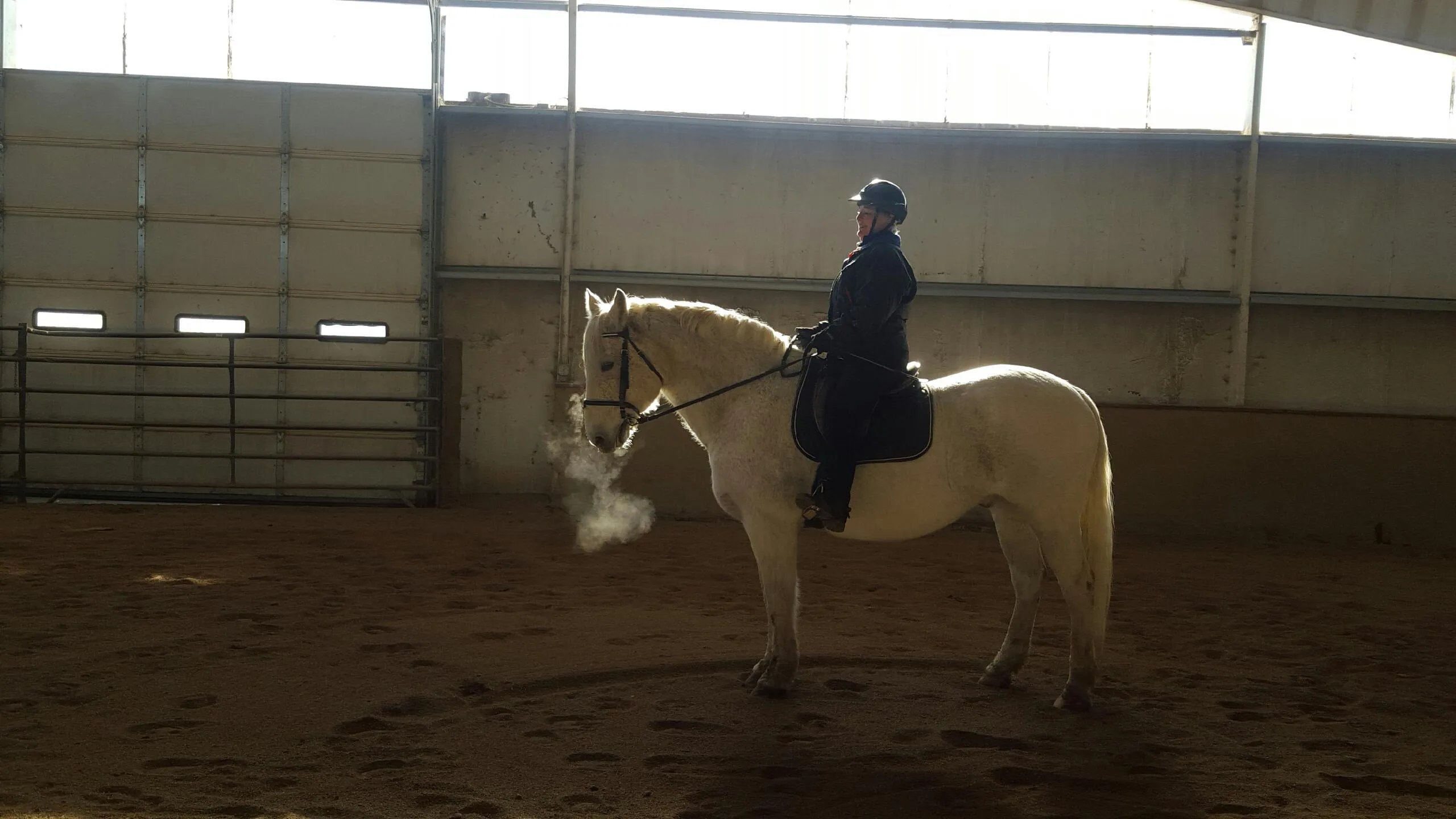 Rider on a white horse in the indoor arena at Mountain View Ranch on a cold morning