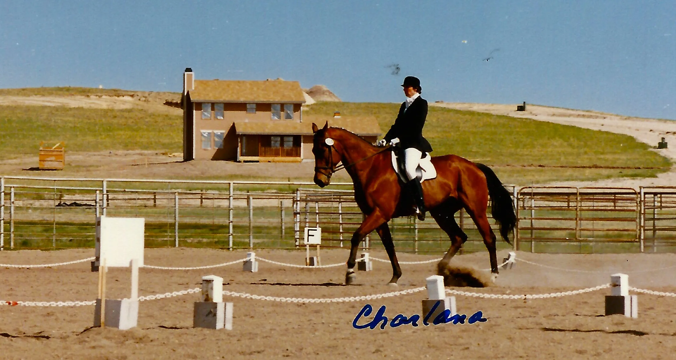 Laura Huff at an outdoor dressage competition, riding a bay horse in formal attire