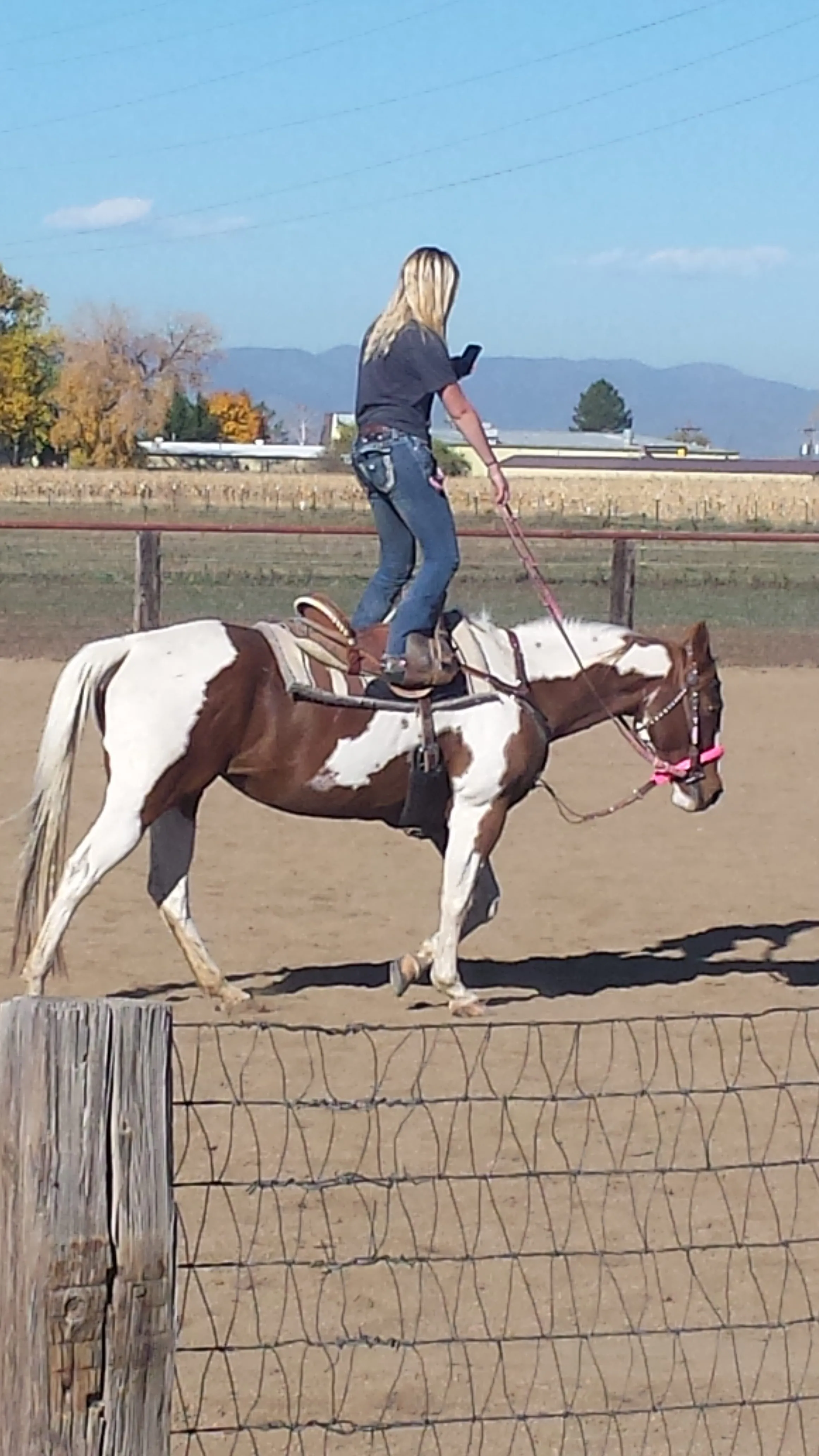 Trainer demonstrating horsemanship by standing on a paint horse in the outdoor arena at Mountain View Ranch